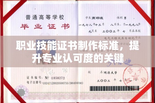 鹿城职业技能证书制作标准，提升专业认可度的关键