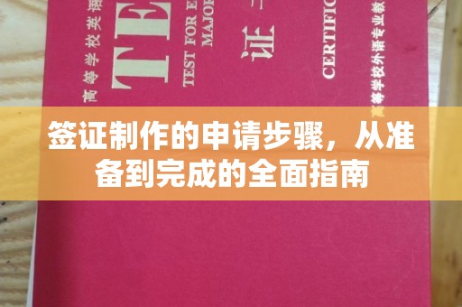 鹿城签证制作的申请步骤，从准备到完成的全面指南