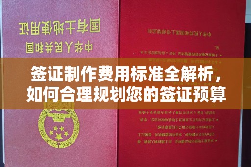 鹿城签证制作费用标准全解析，如何合理规划您的签证预算？